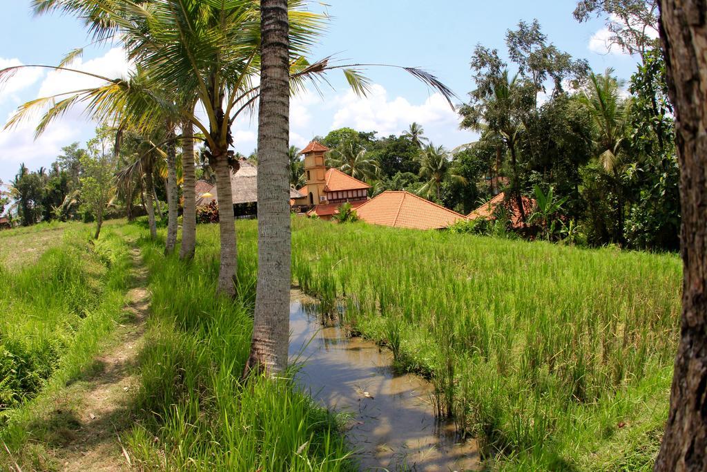 Hotel Villa Ubud Dış mekan fotoğraf