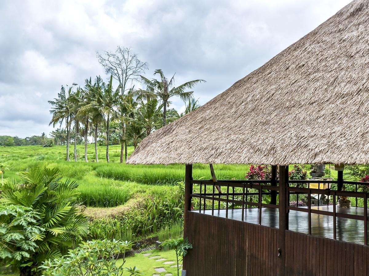 Hotel Villa Ubud Dış mekan fotoğraf